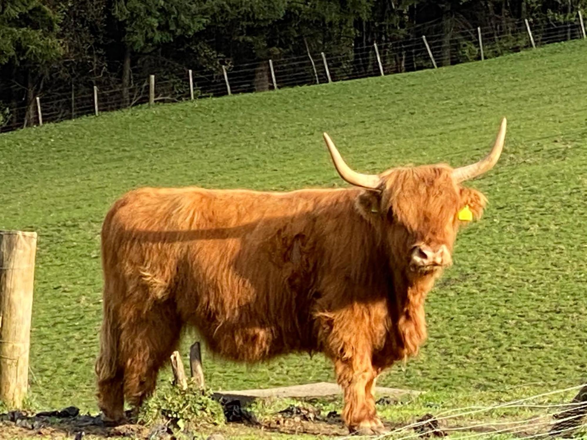 Willa Lyngarrie Dufftown Zewnętrze zdjęcie
